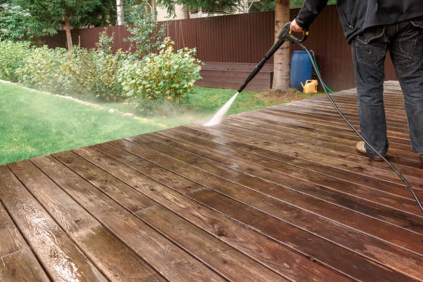 Best Sidewalk and Walkway Cleaning  in Reidland, KY